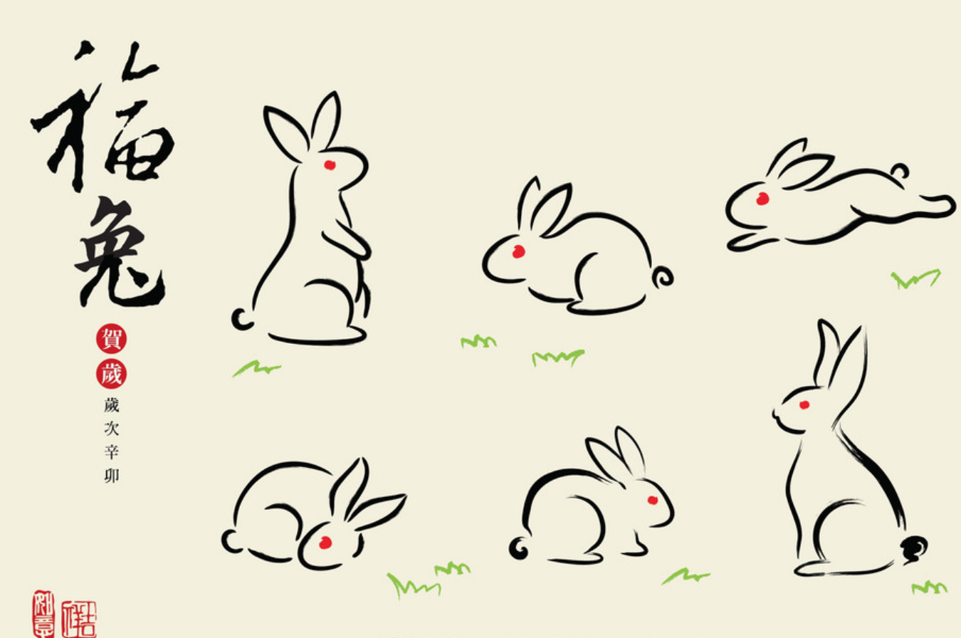 Bunny japan